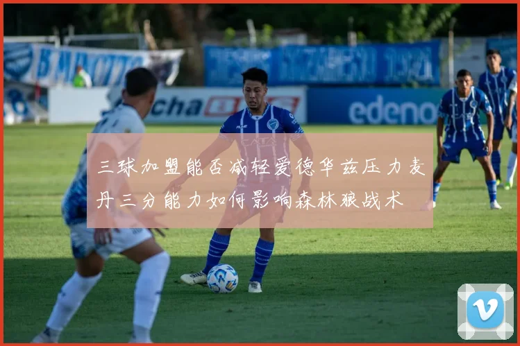 三球加盟能否减轻爱德华兹压力麦丹三分能力如何影响森林狼战术
