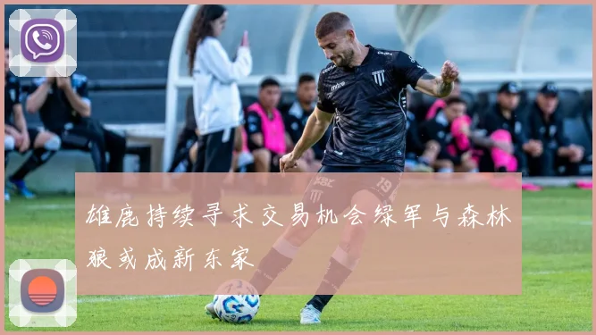 雄鹿持续寻求交易机会绿军与森林狼或成新东家